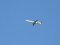 Embraer ERJ-145LR (EMB-145LR)